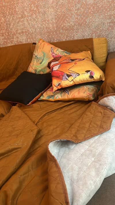 brand new stylish sofa for room