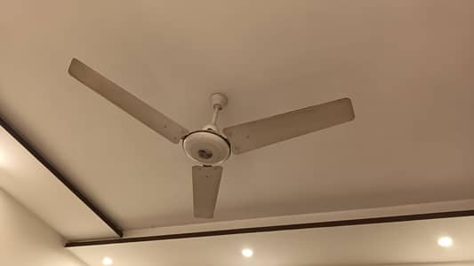 3 Royal Fans for Sale. Pure Copper. Good Condition 5000 each
