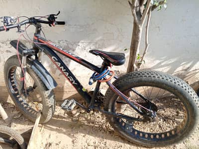 Canary Mountain Bicycle