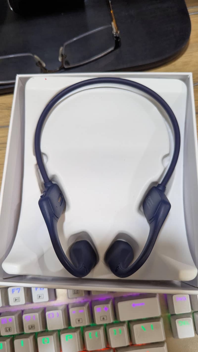 Bone X2 Open Ear Bone Conduction 2