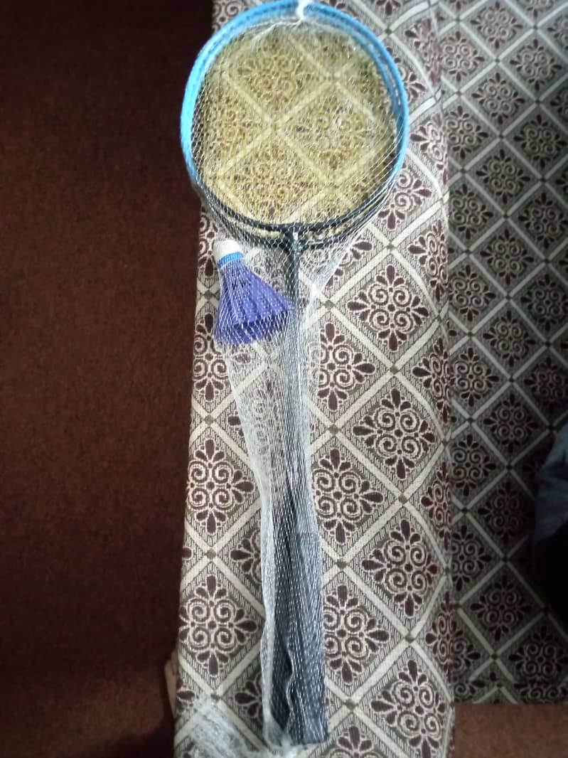 Badminton 1