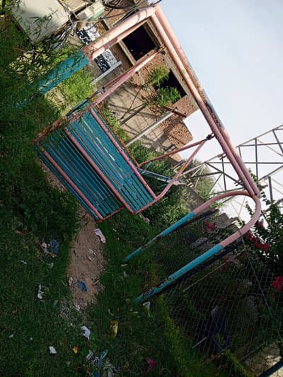 very good quality swing for kids and elders.