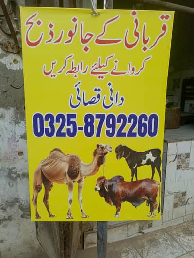 cows/Sheep/goats