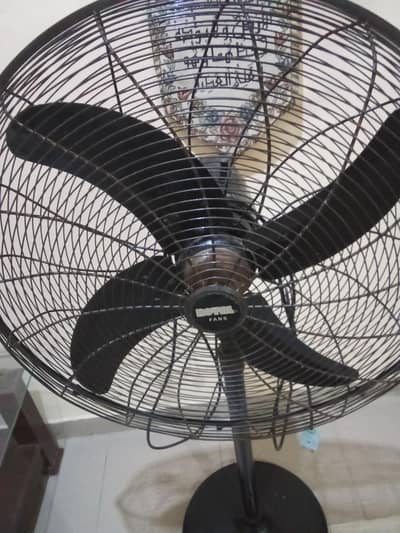 Royal Padestal fan 36" for sale