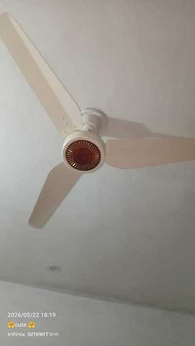 Used Ceiling Fan