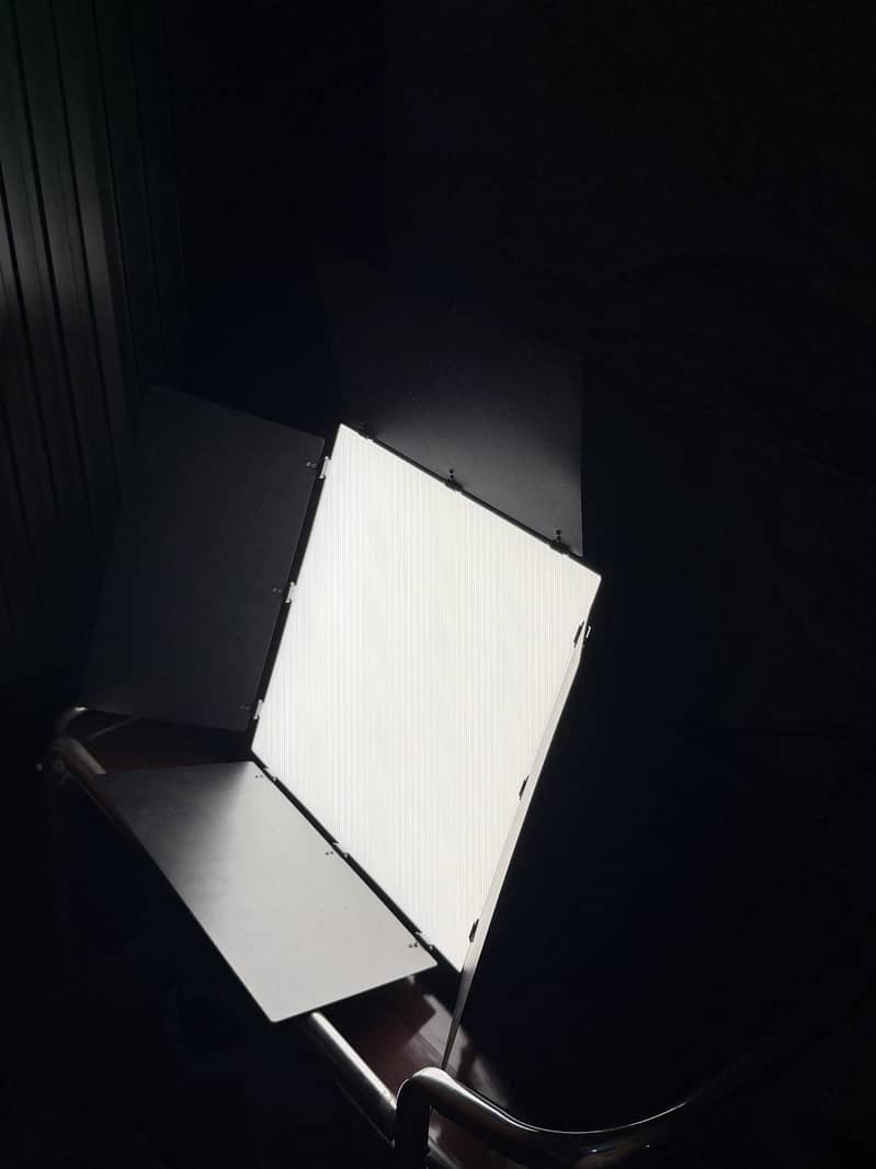 Professional light 1