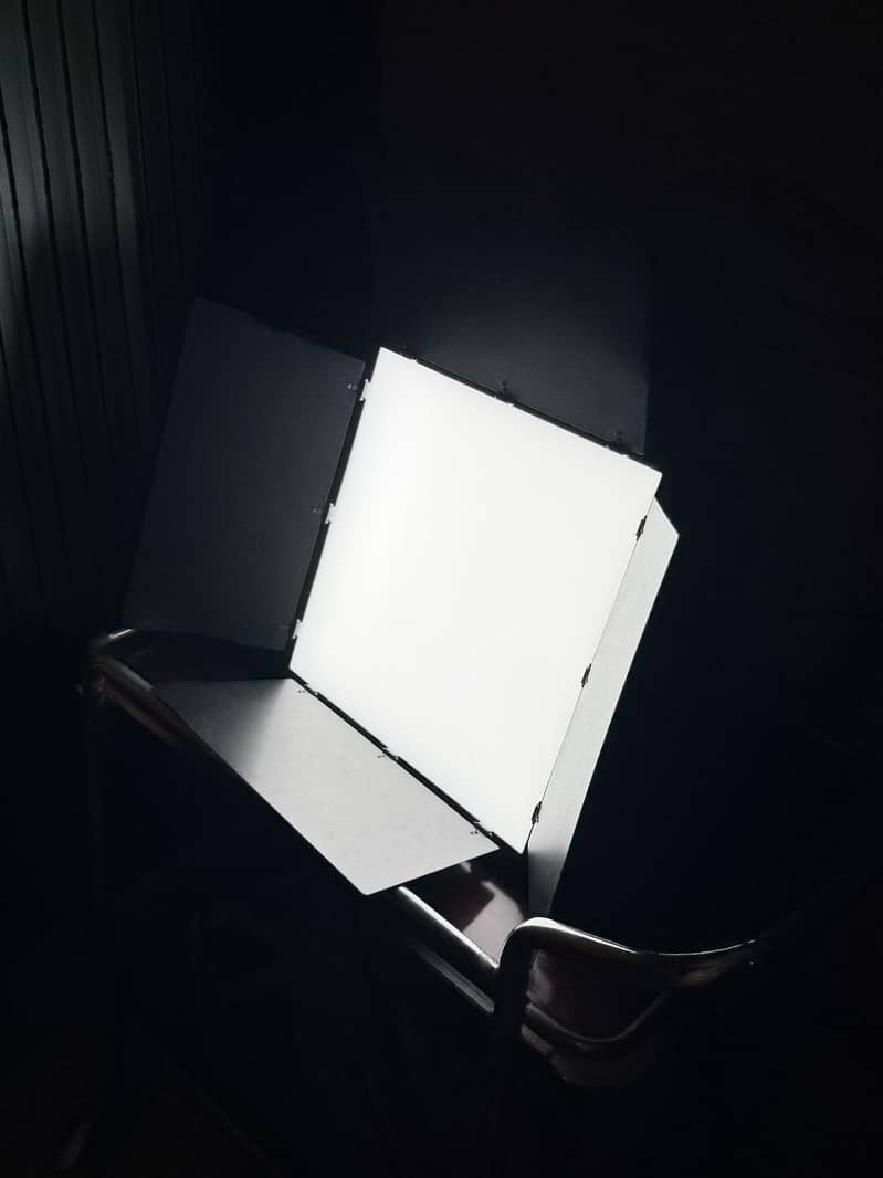 Professional light 2