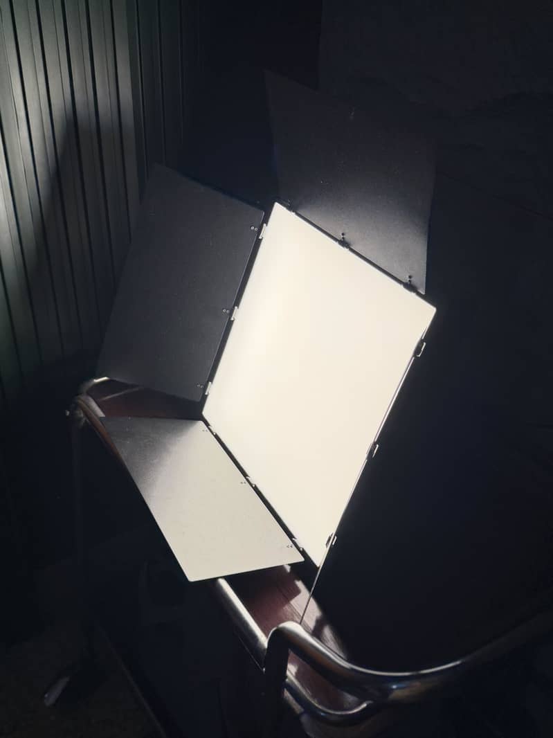 Professional light 4