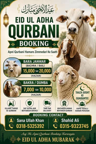 bail ,Bakra ,dumba qurbani k liye booking krwae