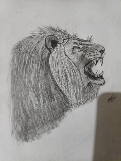 sketch of lion