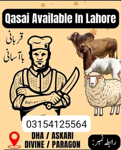 qasai available dha Ali park