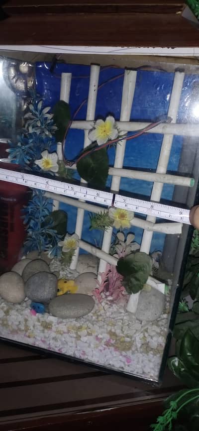 Mini fish aquarium