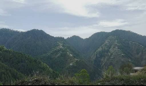 4 Kanal Land For Sale