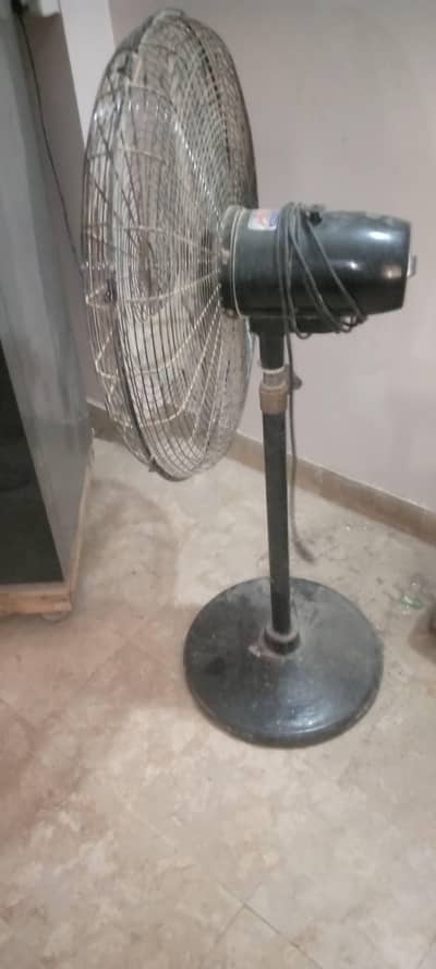 Orient Patistal Fan 24 inch