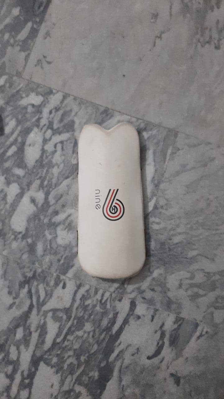 Cricket 3