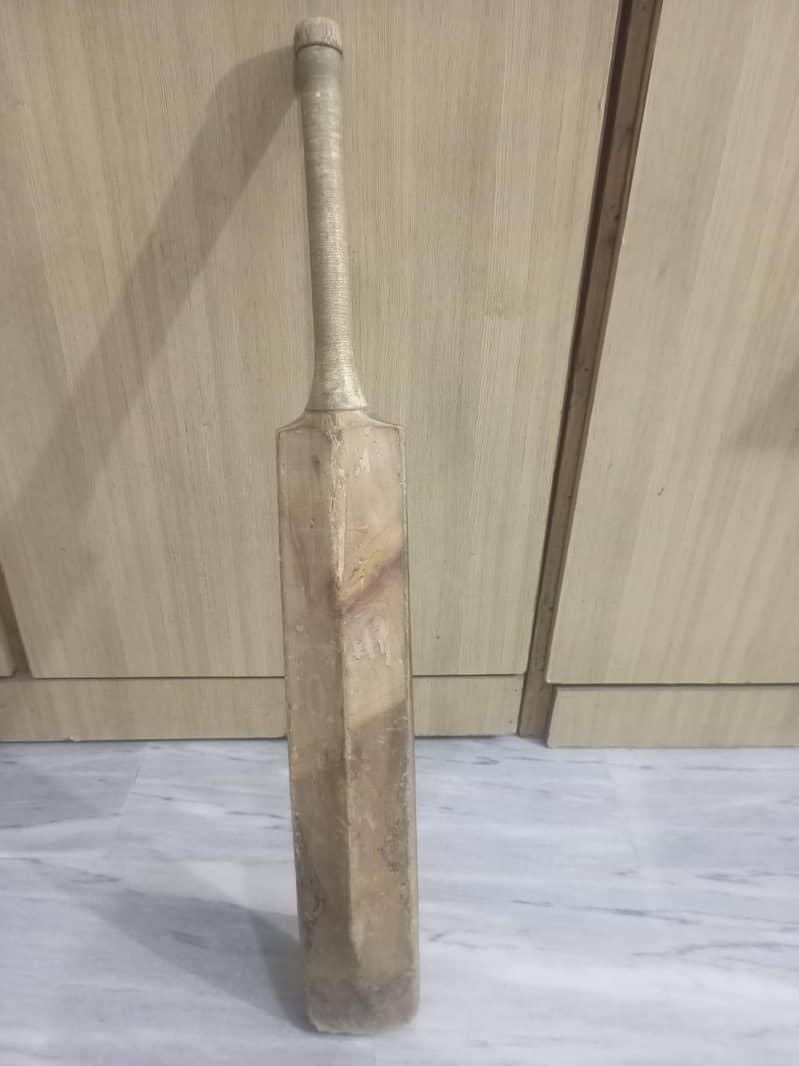Cricket 11