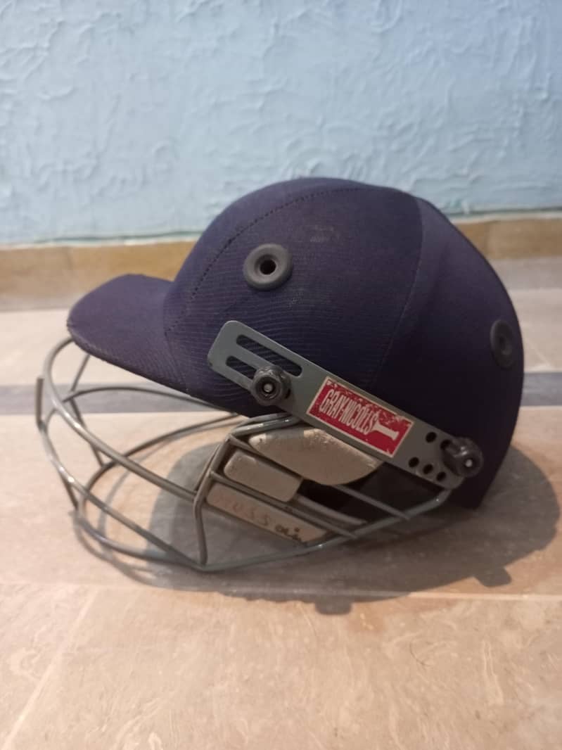 Cricket 16