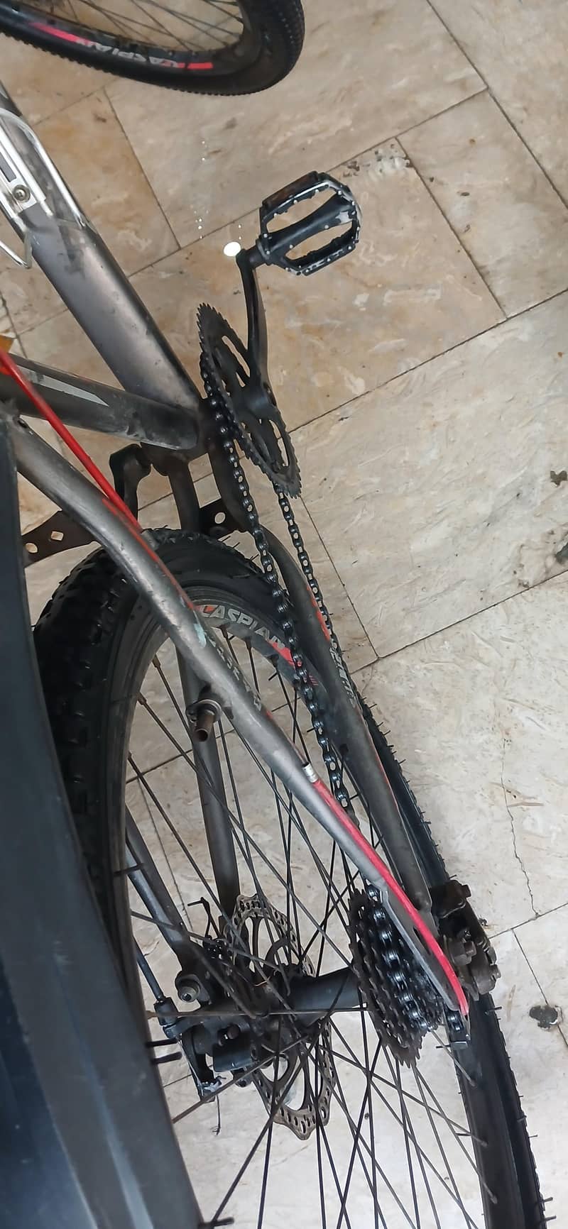 Mountain cycle 6