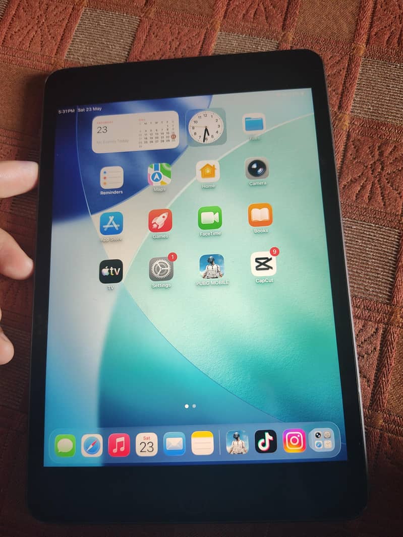 Ipad mini 5 3