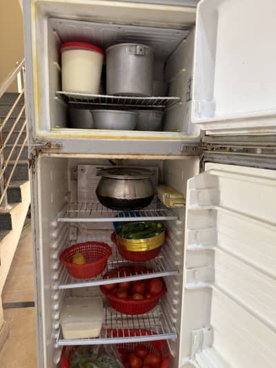 Fridge for Sale