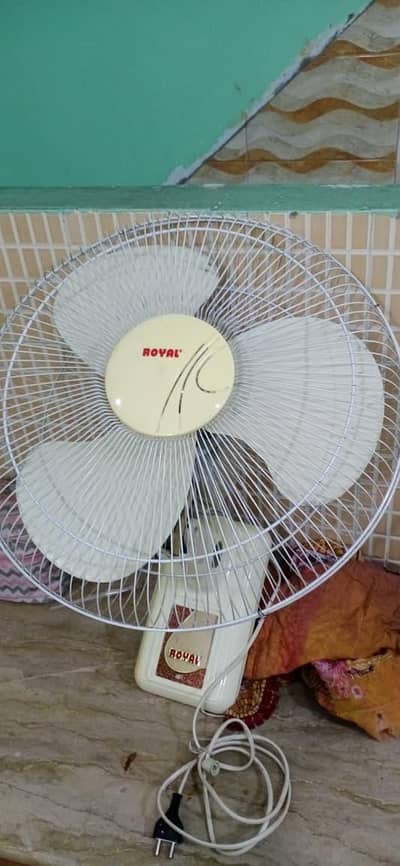 Royal Fan