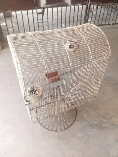 Birds cage
