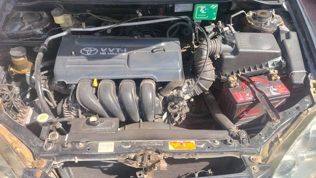 Altis 6MoDel 7