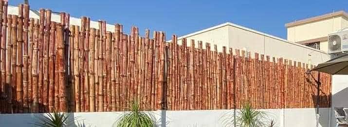 bamboo wall covering huts canopy  partition fence jafri