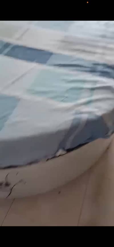 Circle bed