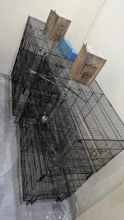 iron cage pingra