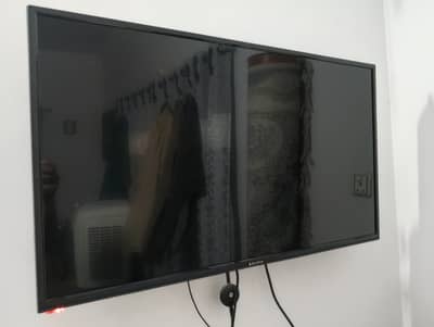 Ecostar TV 39"