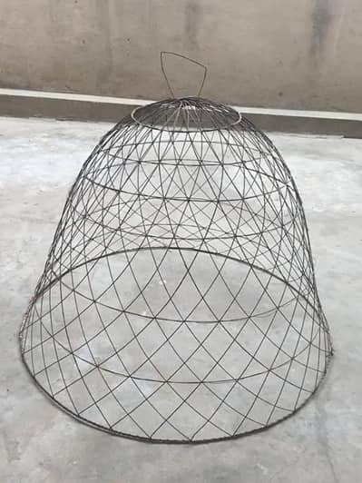 new cage