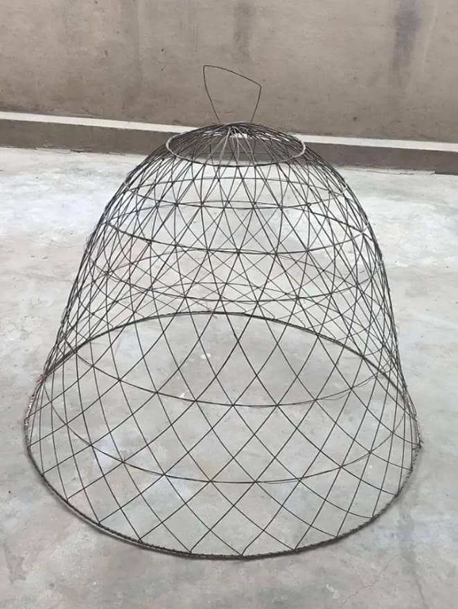 new cage 0