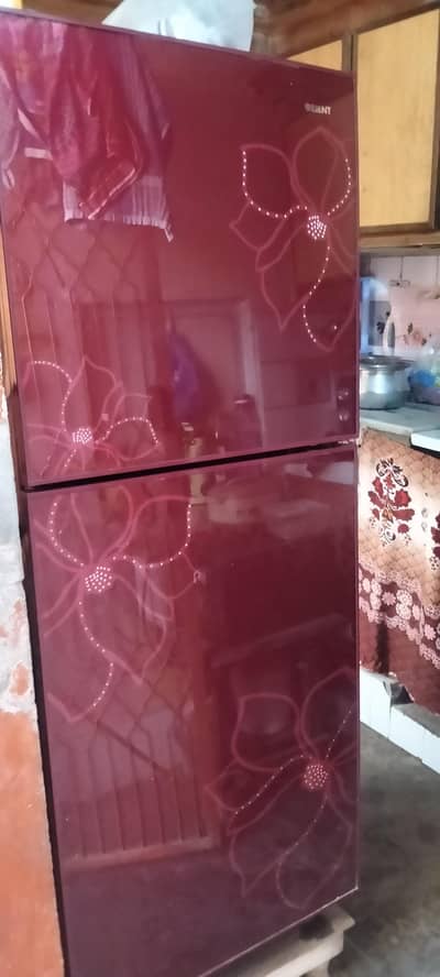 refrigerator glas door