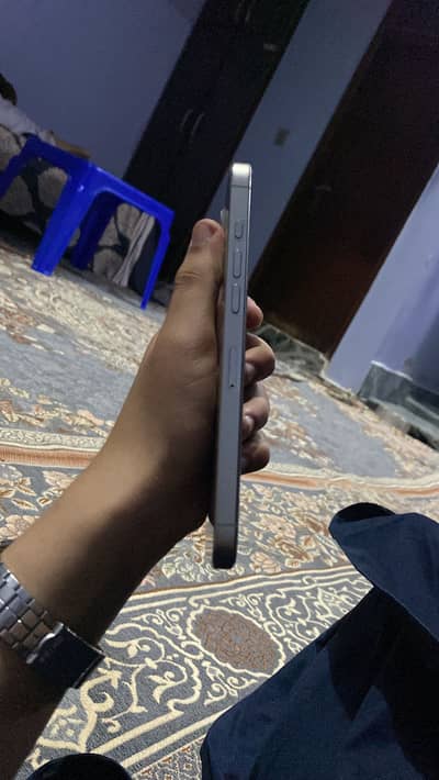 16 Pro Max