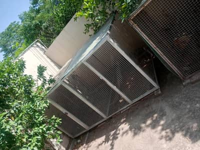 Heavy Duty Hens Cage