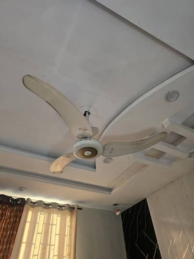 Ceiling fan Two
