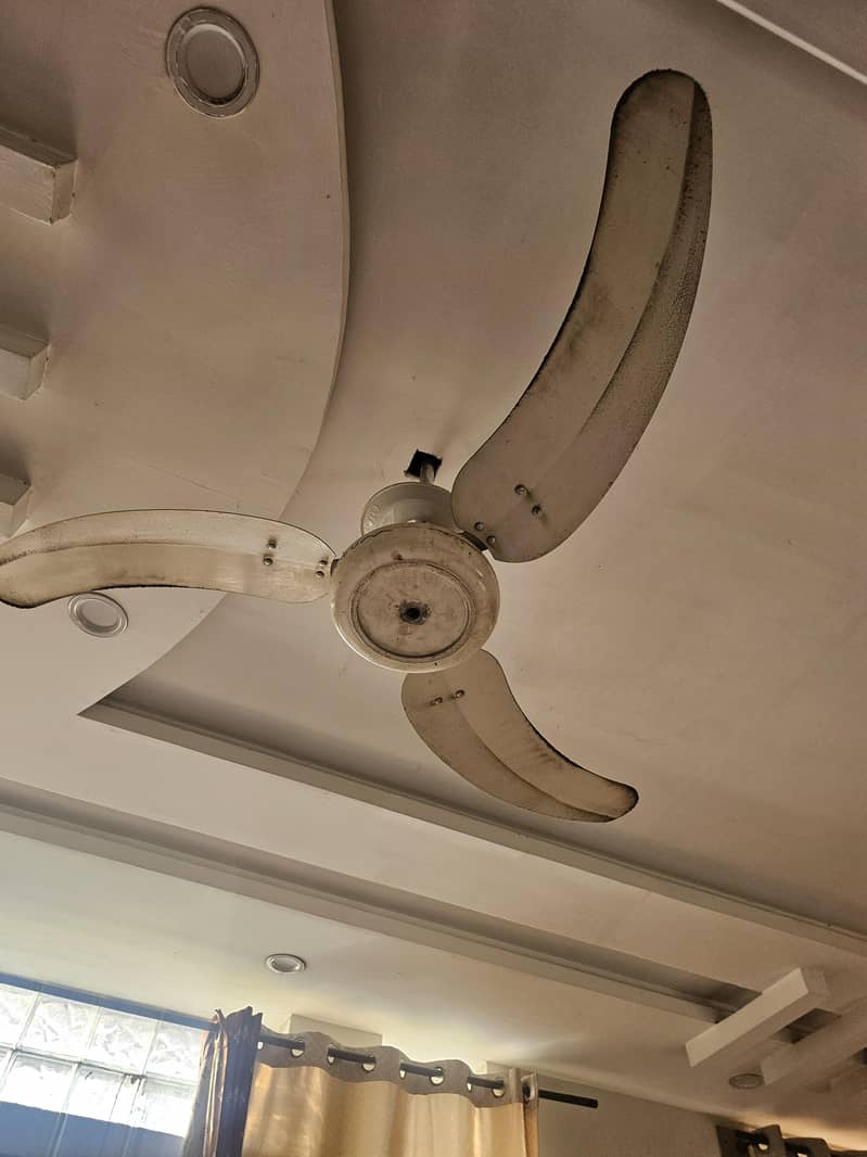 Ceiling fan Two 1