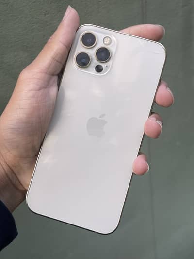 Iphone 12 pro | lush condition | waterpack