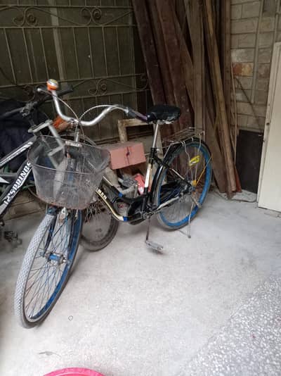 Janapi cycle