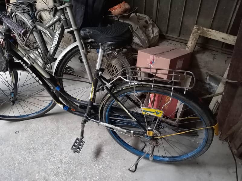 Janapi cycle 3