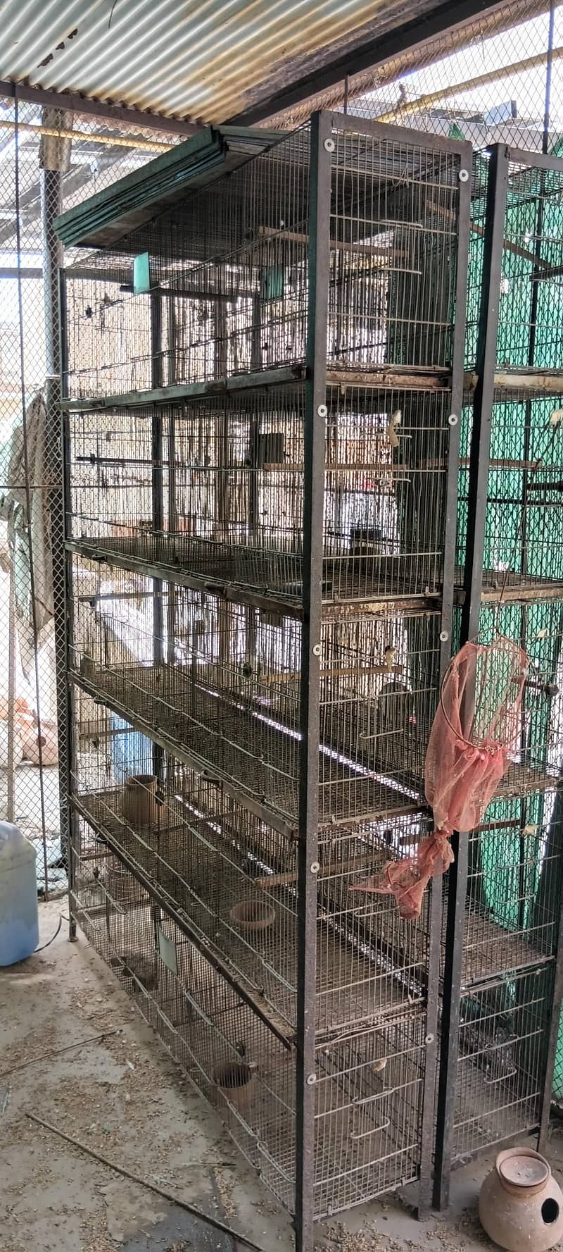 cages 1