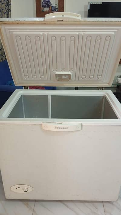 Pel One Door Freezer