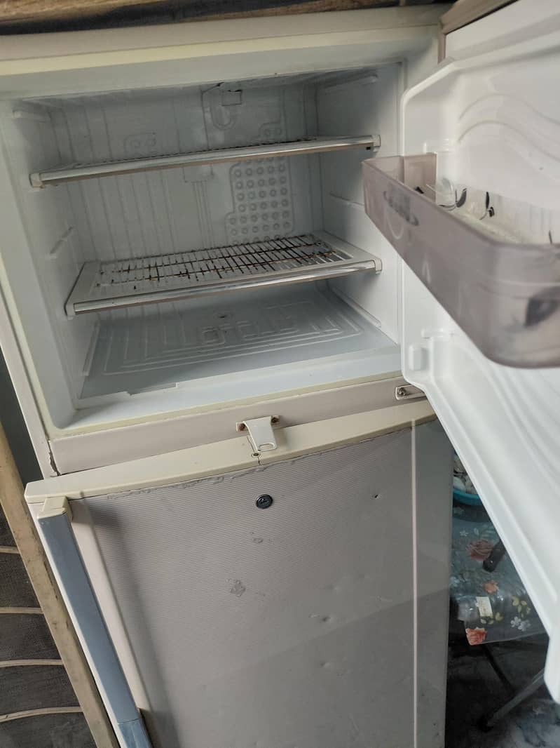 fridge 2