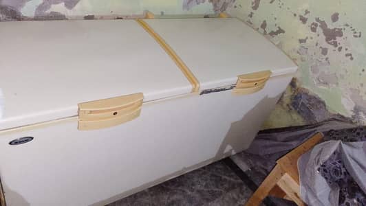 D freezer