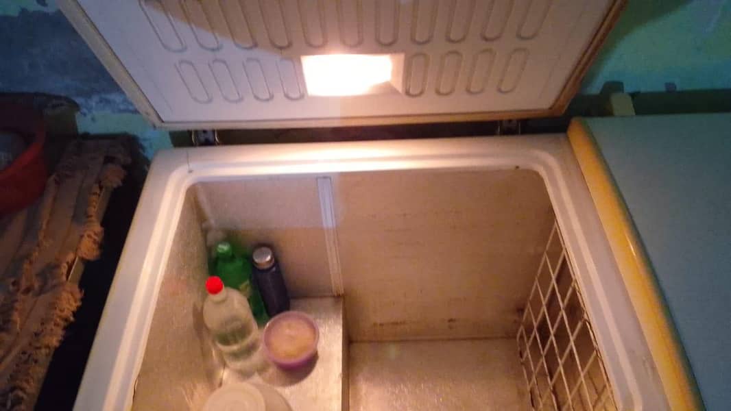 D freezer 1