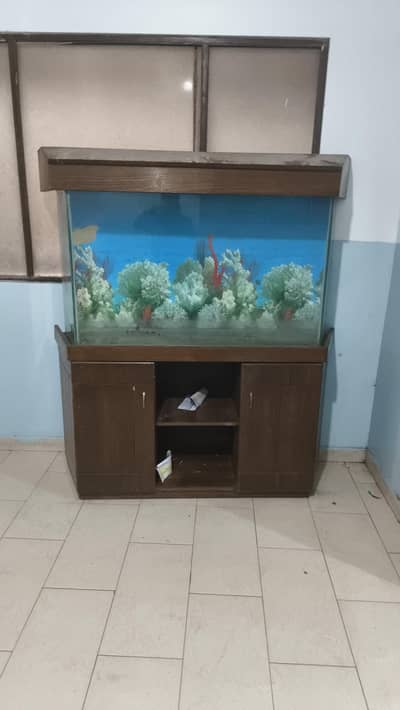 Aquarium