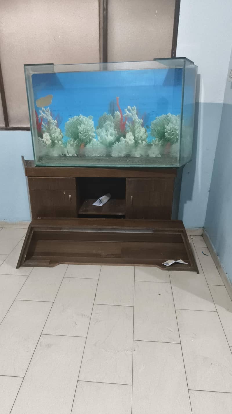 Aquarium 1