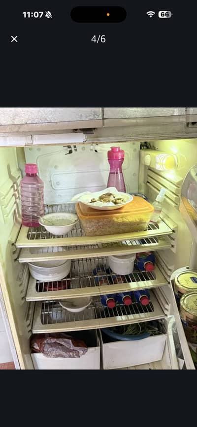Pel fridge for sale