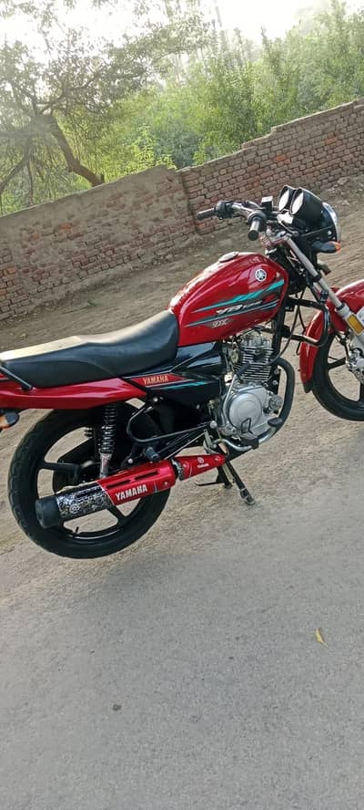 Yamaha ybz 125 DX 2023 model